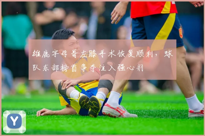雄鹿字母哥左膝手术恢复顺利，球队东部榜首争夺注入强心剂